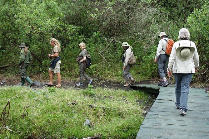 Kilimanjaro Private 2 Days Hiking Tour - Analyzing the Experience: What You Can Expect