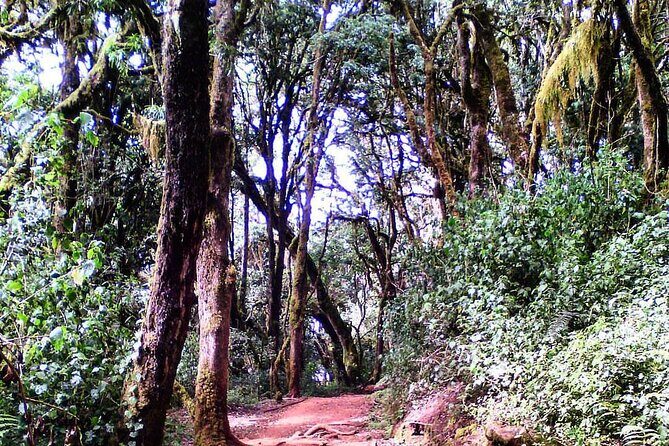 Kilimanjaro Private 2 Days Hiking Tour - FAQ