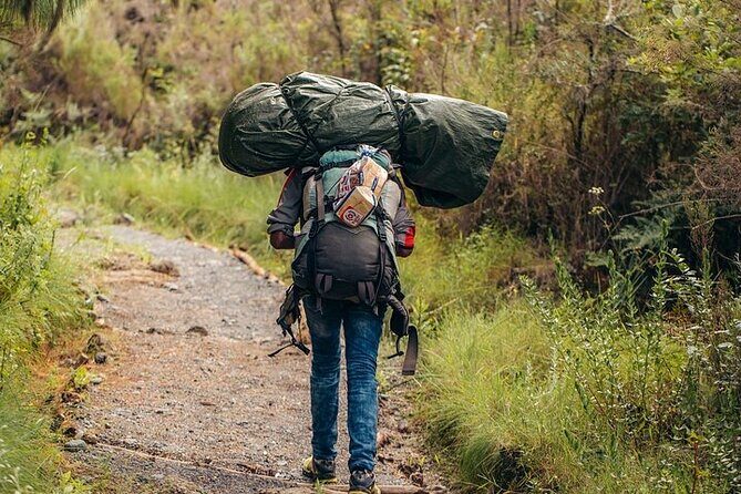 Kilimanjaro Private Climbing in 6 Days Marangu Route - The Itinerary: Step-by-step Breakdown