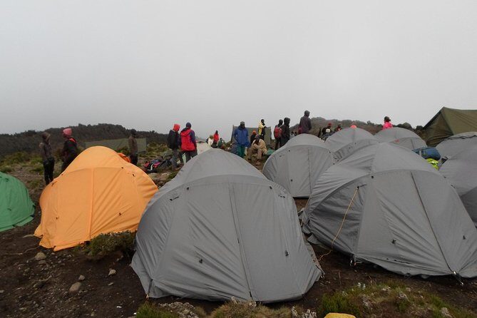 Kilimanjaro Rongai Route 7 Days - The Detailed Itinerary: What You Can Expect