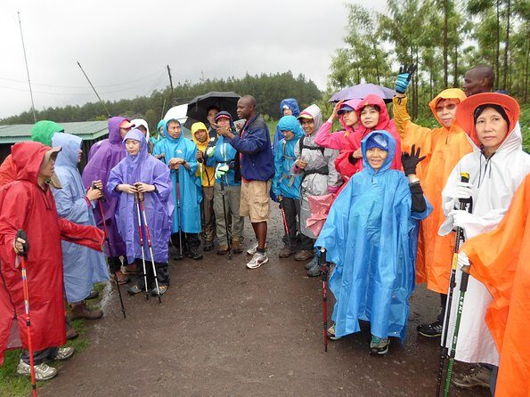 Kilimanjaro Rongai Route 7 Days - What’s Included and What’s Not