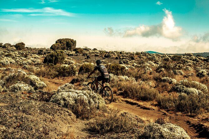Kilimanjaro Shira Plateau E-Bike Day Trip - FAQ
