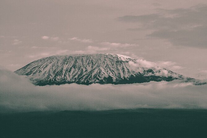 Kilimanjaro Wanderlust Day Hike - Key Points