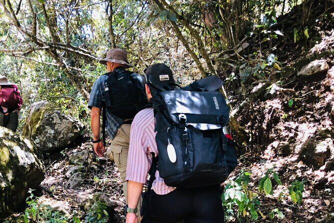 Kilimanjaro Wanderlust Day Hike - Pricing and Value