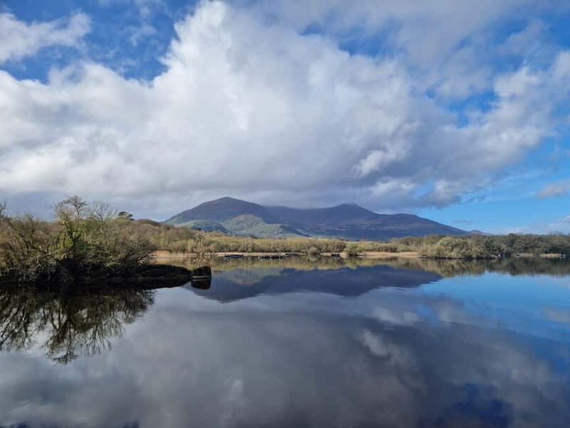 Killarney: Boat Tour to Innisfallen Island, Killarney Lakes - A Detailed Look at the Experience