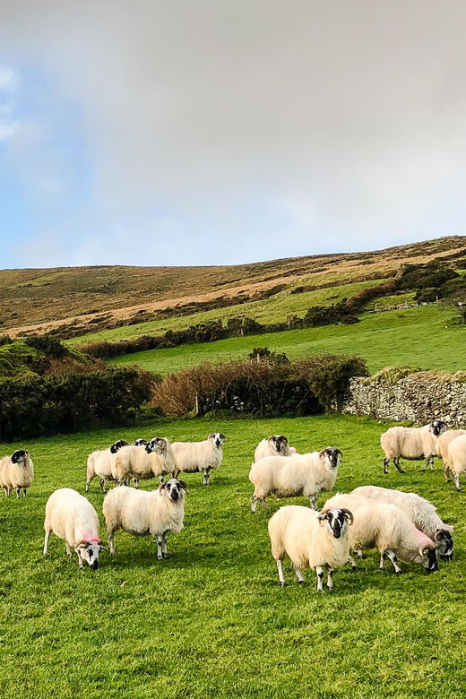 killarney-dingle-peninsula-photo-and-sightseeing-tour
