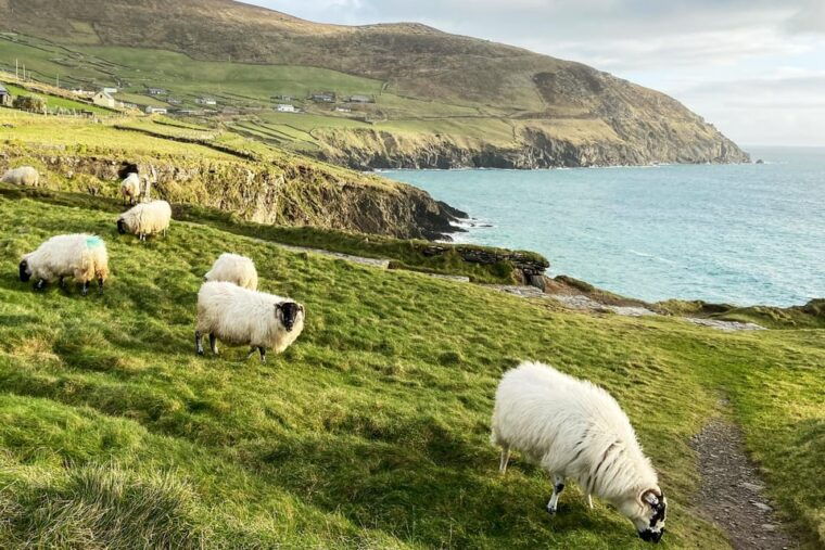 killarney-dingle-peninsula-photo-and-sightseeing-tour