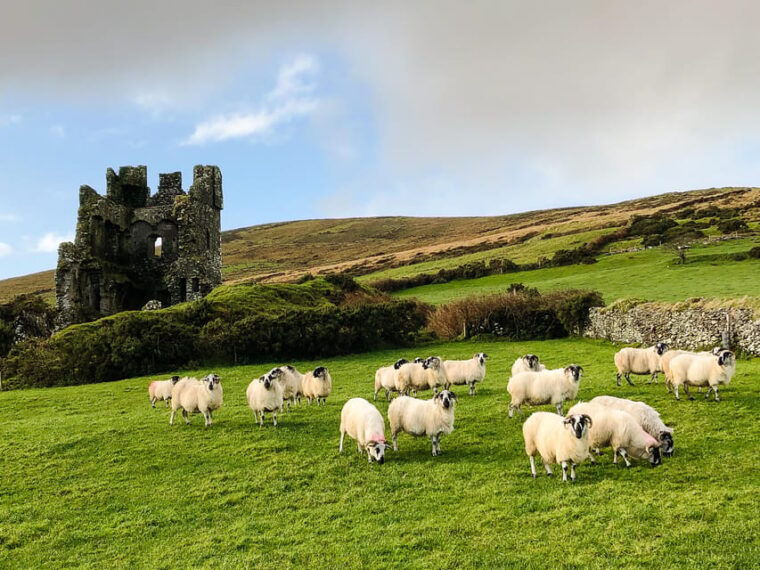 killarney-dingle-peninsula-photo-and-sightseeing-tour