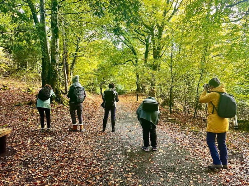 Killarney: Fully Guided Killarney National Park Photo Walk - The Experience: What You Can Expect