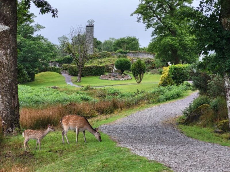killarney-gap-of-dunloe-day-tour