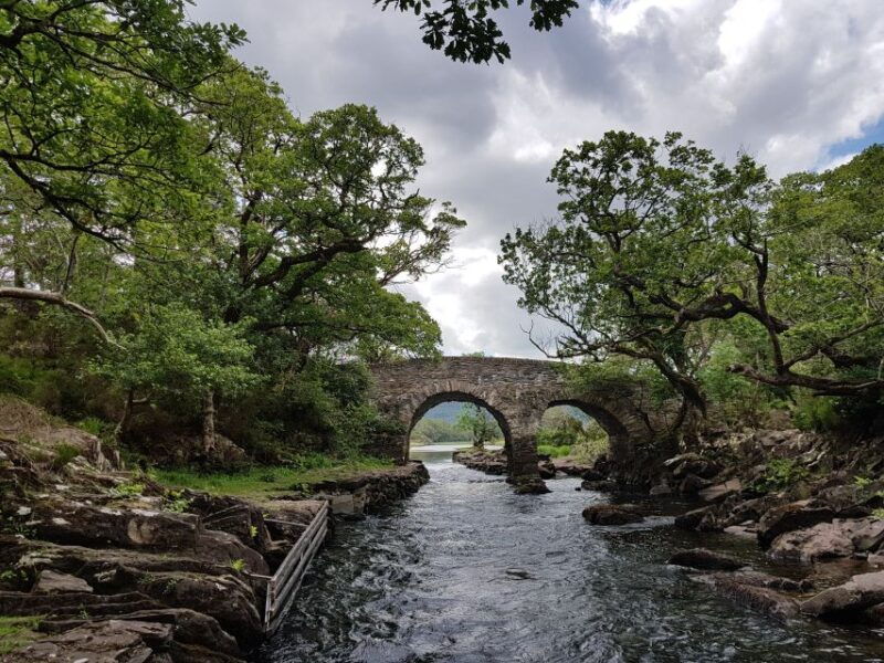 killarney-lakes-of-killarney-boat-tour-with-transfer