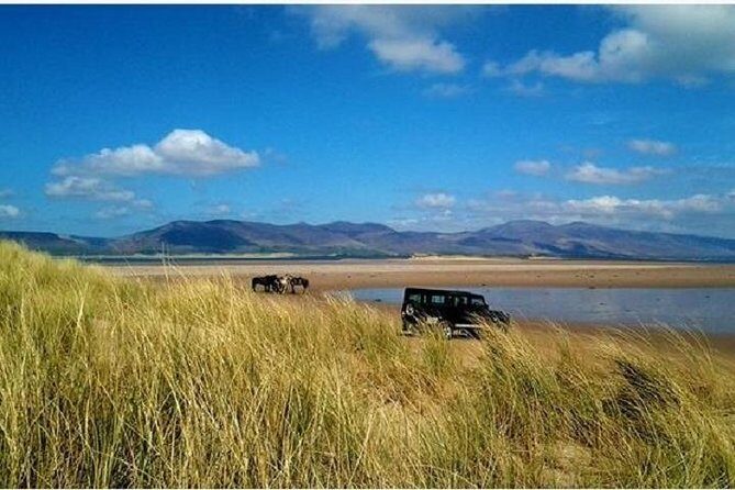 Killarney National Park Horseback Ride. Co Kerry. Guided. 1 hour. - Additional Practical Details
