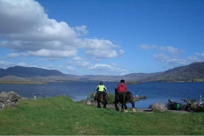 Killarney National Park Horseback Ride. Co Kerry. Guided. 1 hour. - Who Would Benefit Most from This Tour?