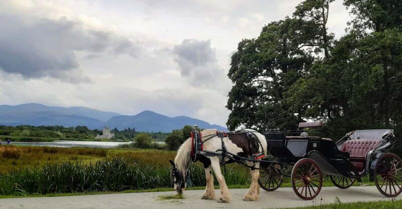 killarney-national-park-ross-castle-jaunting-car-tour