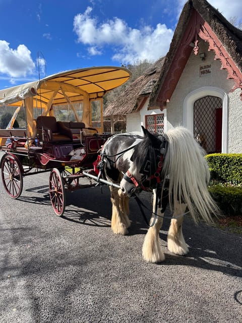 killarney-national-park-tour-2