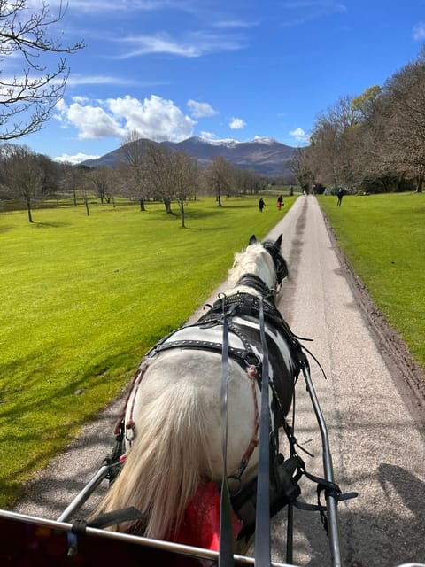 killarney-national-park-tour-2