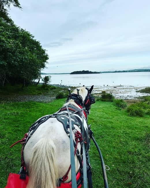 Killarney National Park Tour - Who Would Love This Tour?