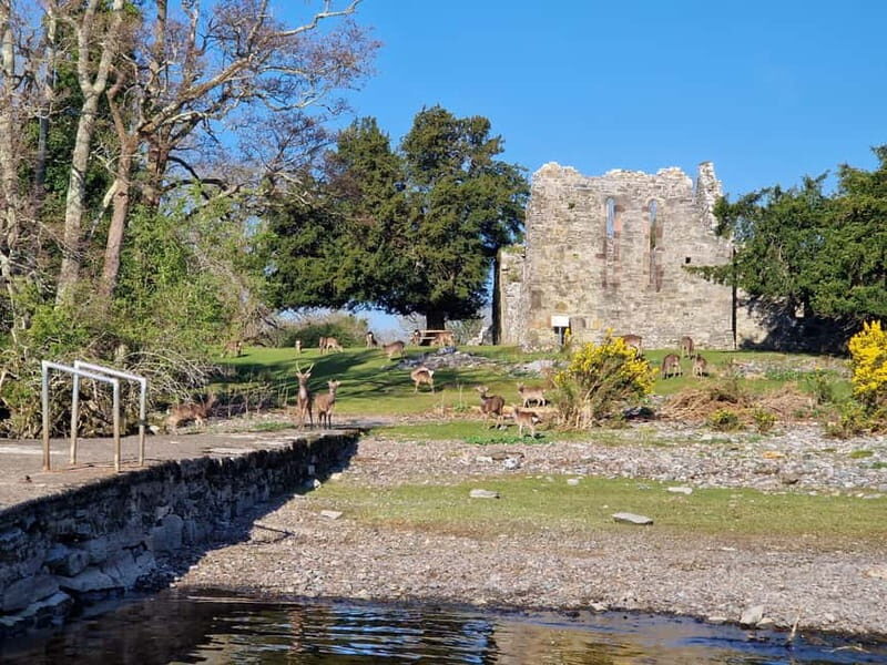 Killarney: Orienteering Boat Tour on the Lakes of Killarney - Key Points