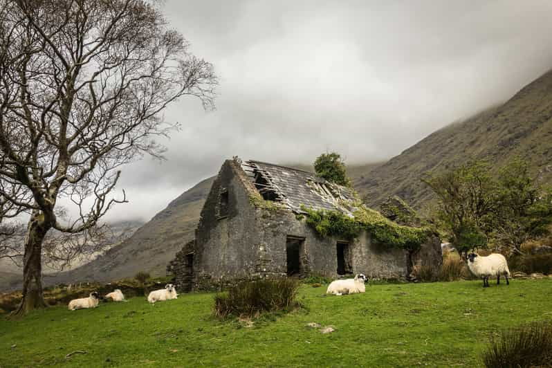 killarney-the-ring-of-the-reeks-backroads-rural-tour