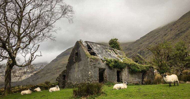 killarney-the-ring-of-the-reeks-backroads-rural-tour