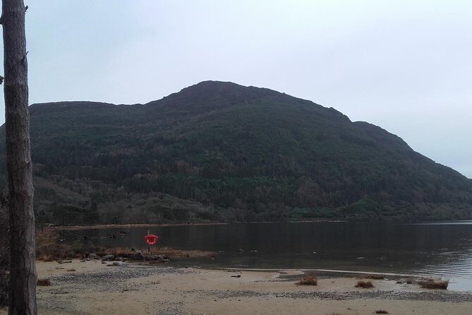 Killarney Valley & National Park - Private Tour - Analyzing the Value