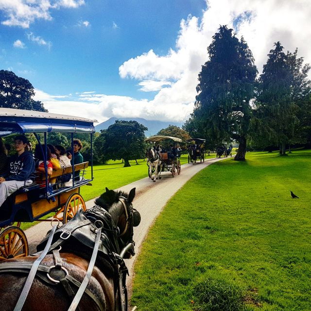 killarney-views-brews-jaunting-in-killarney-national-park