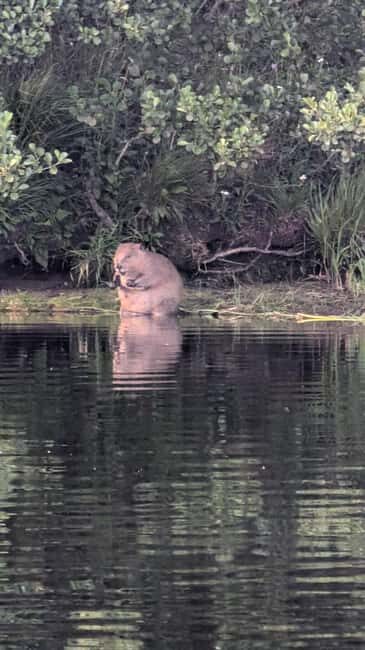 Killin: Loch Tay Beaver Canoe Tour - Why Choose This Tour?