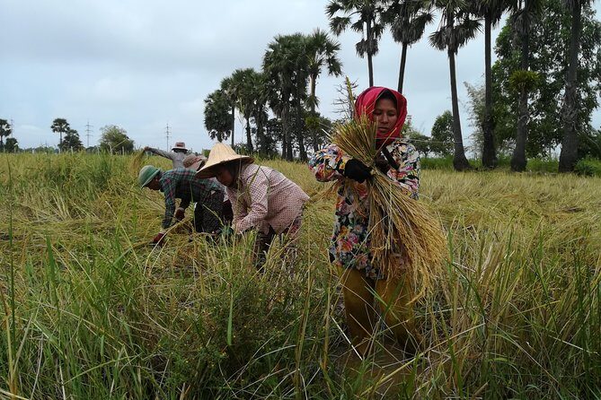 Killing Fields, War Museum and Floating Village ( Mechrey ) - Authentic Insights from Reviewers