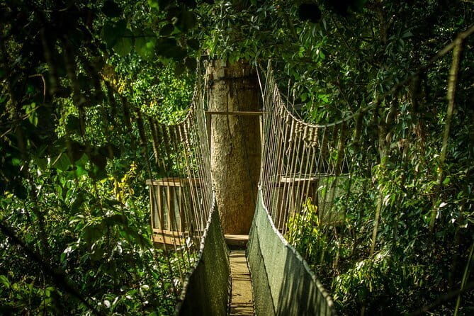 Kinabalu National Park Tour - The Itinerary Breakdown: What to Expect