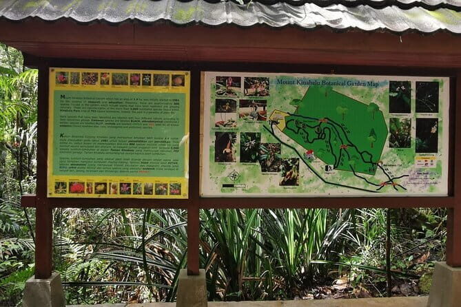 Kinabalu Park And Poring Hot Spring Private Day Tour - The Experience from a Traveler’s Perspective
