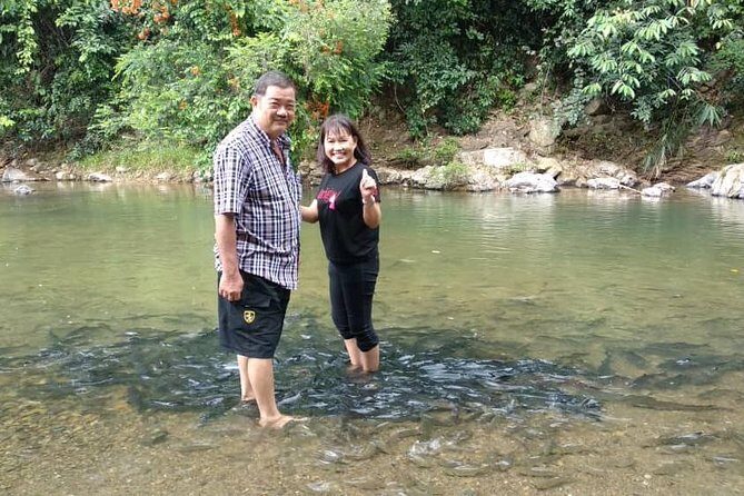 Kinabalu Park Day Trip - Key Points