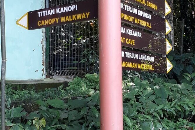 Kinabalu Park Day Trip - Who Should Consider This Tour?