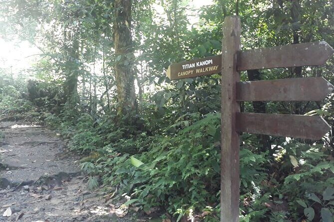 Kinabalu Park Day Trip - FAQs