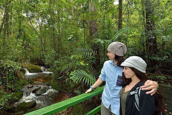 Kinabalu Park, Desa Dairy Farm & Poring Hot Springs Tour - Exploring the Full Itinerary