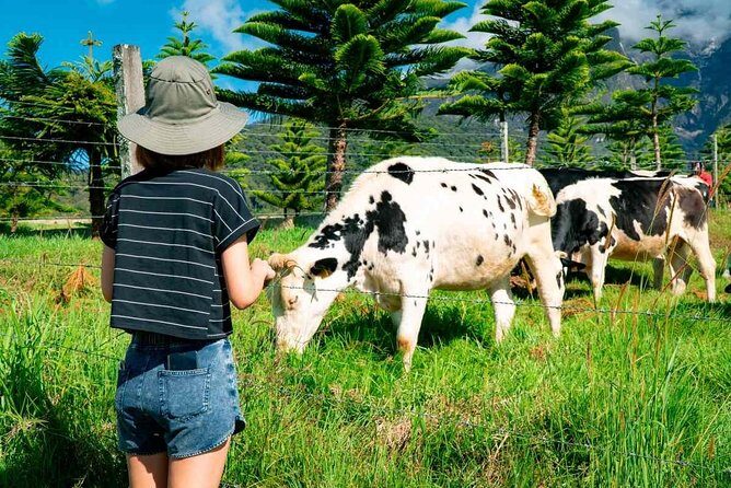Kinabalu Park With Rumah Terbalik & Desa Cow Farm - FAQ