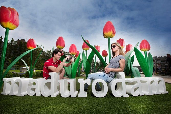 kinderdijk-and-the-hague-with-mauritshuis-escher-or-madurodam