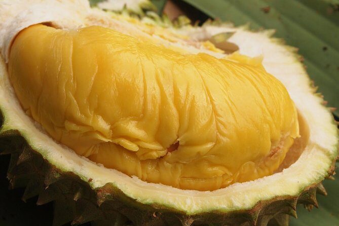 King of Tropical Fruits - Durian Tasting Tour From Kuala Lumpur - How the Experience Feels: Comfort, Value, and Authenticity