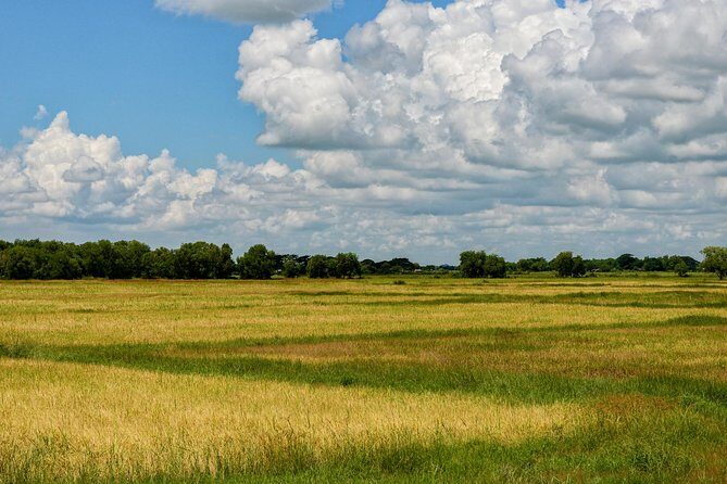 Kingdom of Hanthawaddy: Excursion to Bago from Yangon - The Sum Up: Is It Worth It?