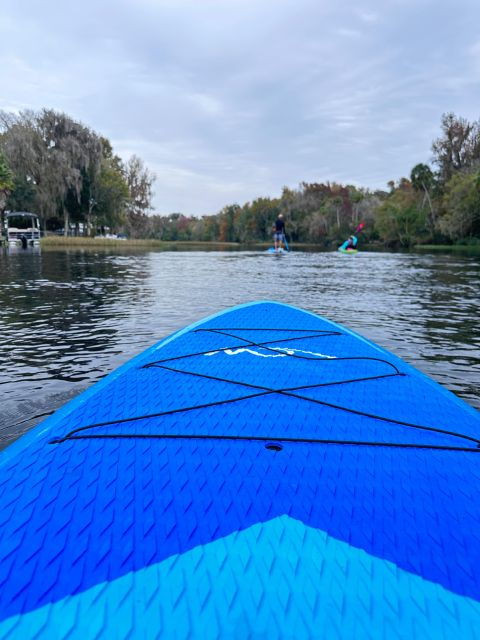 kings-bay-three-sisters-self-guided-tour-clearbottom-kayak