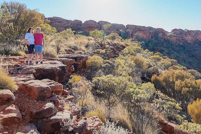 Kings Canyon Day Trip from Ayers Rock (Uluru) - The Journey to Kings Canyon from Uluru