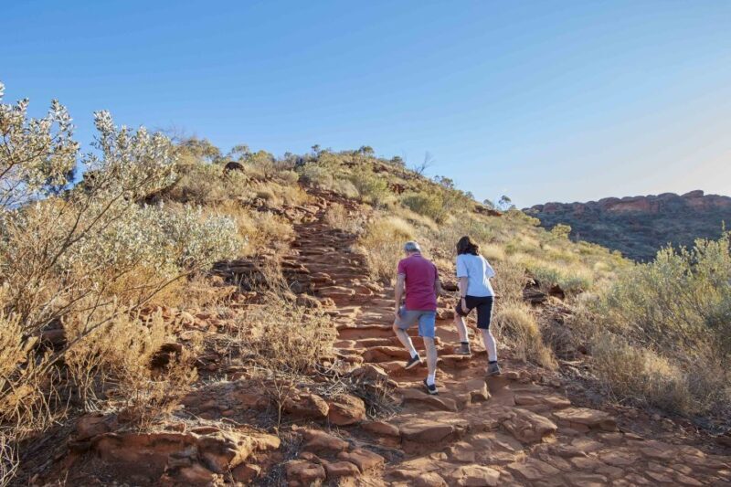 Kings Canyon: Full-Day Tour from Ayers Rock Resort - Authentic Insights from Past Travelers