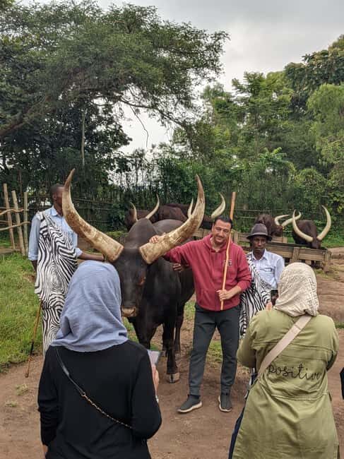 King's Palace and Ethnographic Museum Day Tour - Final Thoughts