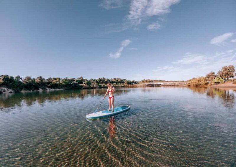 Kingscliff: Paddleboard and Mindfullness in the Mangroves - What to Expect on the Tour