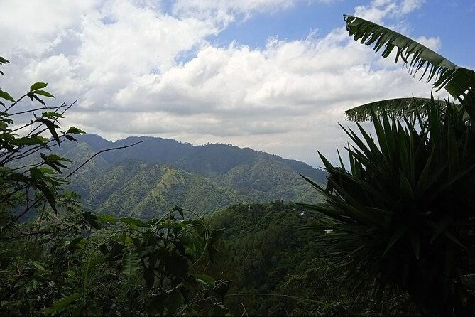 kingston-blue-mountain-adventure