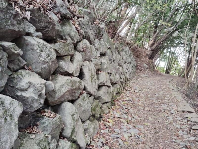 Kintai-Kyo Bridge and Iwakuni Castle with local guide 3h - FAQ