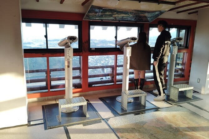 Kintai Kyo Bridge and Iwakuni Castle with Local Guide - The Details of the Experience