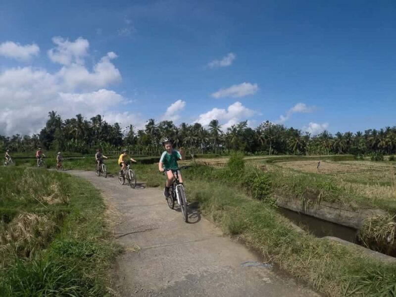Kintamani Culture and Nature Guided Cycling Tour - Key Points