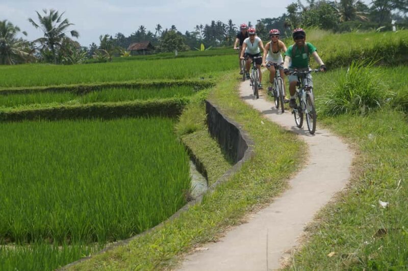 Kintamani Culture and Nature Guided Cycling Tour - Final Thoughts