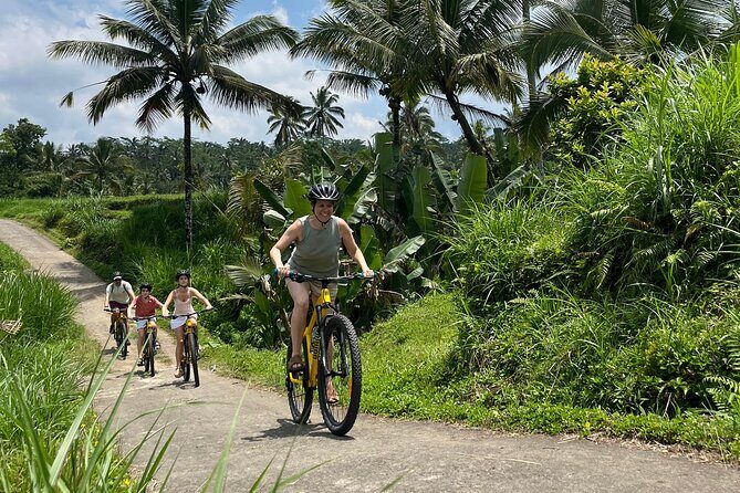 Kintamani Down Hill Cycling - A Complete Breakdown of the Kintamani Down Hill Cycling Tour