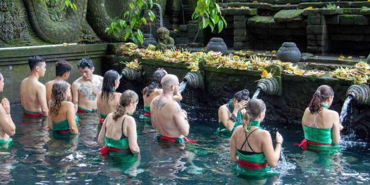 kintamani-full-day-tour-tegalalang-rice-field-goa-gajah